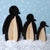 Penguin family